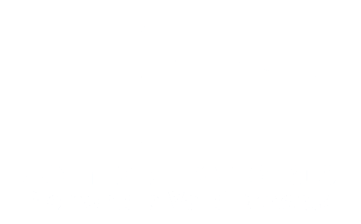 Logo FIN Piemonte