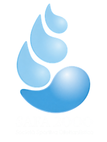 Safa2000